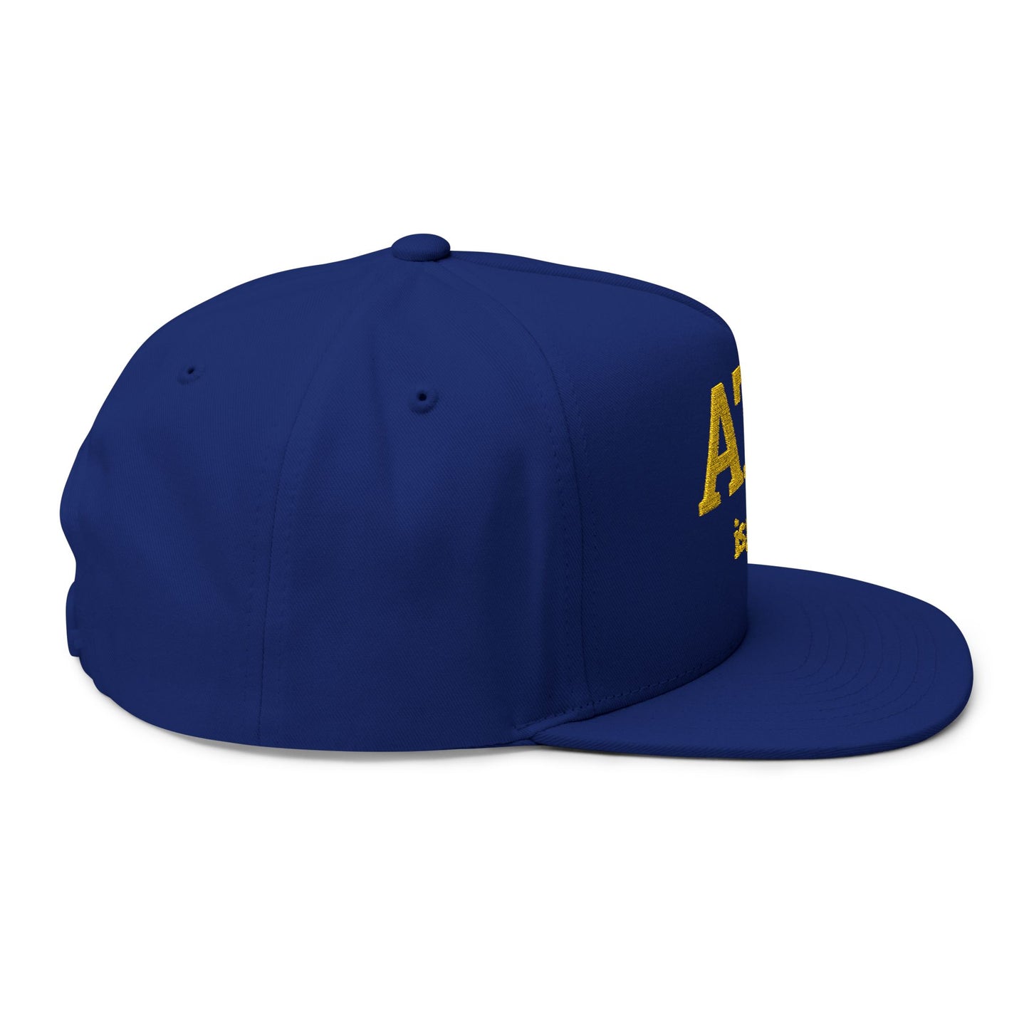 Flat Bill Cap — "ATF is gay" Embroidered Snapback